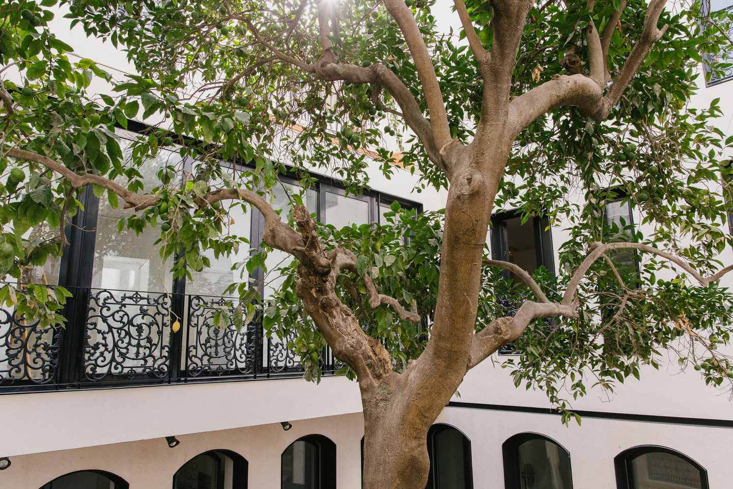 Vivienda unifamiliar JG85